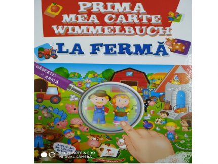 Моя первая книга: Виммельбук на ферме - 28139