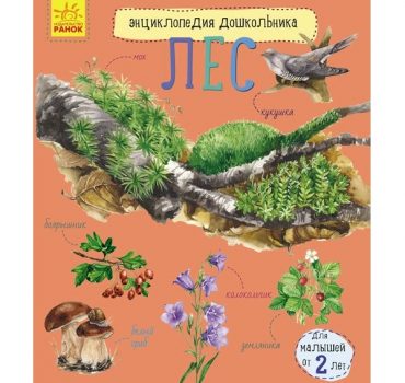 Энциклопедия для дошкольников: Лес - 51 135