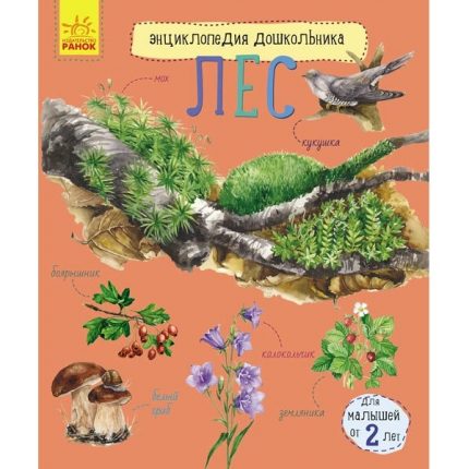Энциклопедия для дошкольников: Лес - 51 135