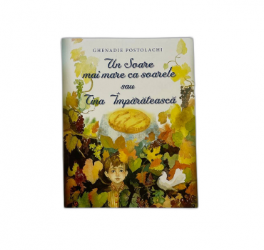 Книга - Солнце больше чем солнце 59908